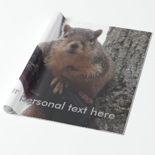 Eekhoorn die naar uw inpakpapier kijkt