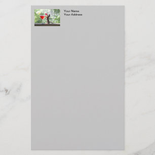 Eekhoorn Drink een cocktail bij Happy Hour Briefpapier