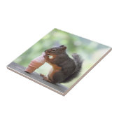 Eekhoorn Een ijsklok eten Tegeltje (Zijkant)