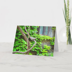 eekhoorn en blanco wijnstokken Wenskaart Kaart