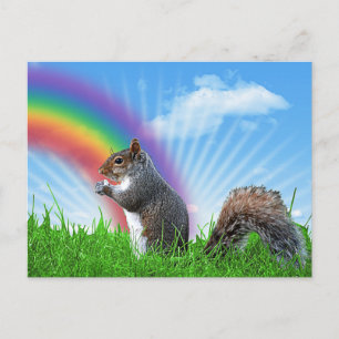 Eekhoorn en regenboog briefkaart