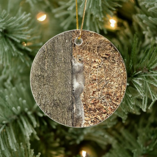 Eekhoorn Foto Ornament (Boom)