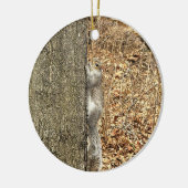Eekhoorn Foto Ornament (Links)
