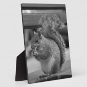 eekhoorn fotoplaat (Zijkant)