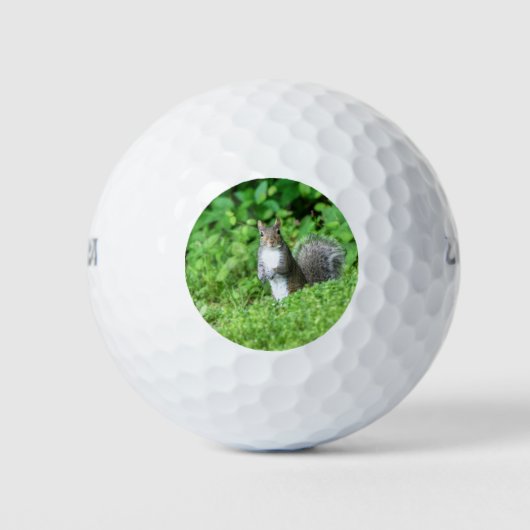 eekhoorn golfballen (Voorkant)