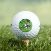 eekhoorn golfballen (Insitu Shirt)