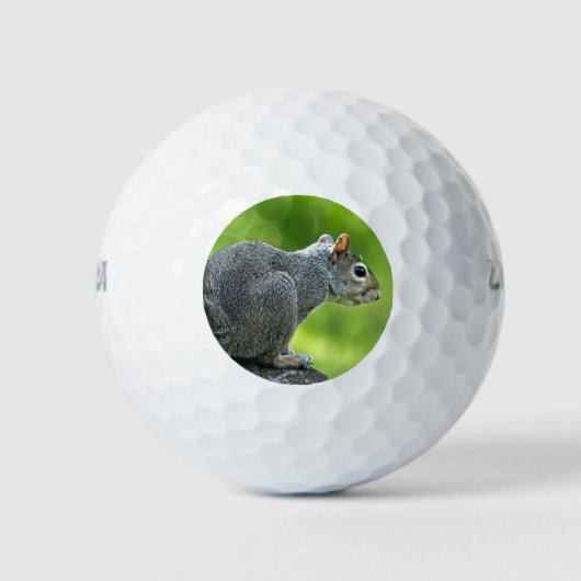 eekhoorn golfballen (Voorkant)