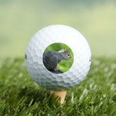 eekhoorn golfballen (Insitu Shirt)