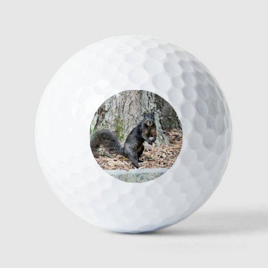eekhoorn golfballen (Voorkant)