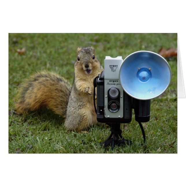 eekhoorn grote kaart (Voorkant Horizontaal)