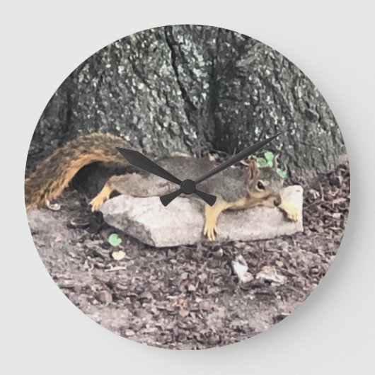 eekhoorn grote klok (Voorkant)