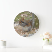 Eekhoorn Grote Klok (Huis)