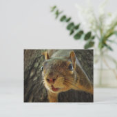 Eekhoorn Hangende Closeup 2 Briefkaart (Staand voorkant)