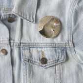 Eekhoorn hongerige Horatio knop Ronde Button 5,7 Cm (In situ)