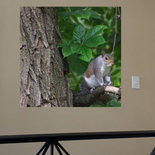 Eekhoorn in boom Foto Poster