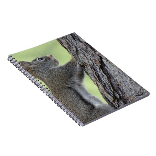 Eekhoorn in boom notitieboek (Rechterzijde)