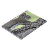 Eekhoorn in boom notitieboek (Linkerzijde)