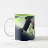 Eekhoorn in boomdierkunst gepersonaliseerd tweekleurige koffiemok (Links)