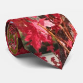 Eekhoorn in de rode herfstboom stropdas (Opgerold)