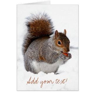 Eekhoorn in de sneeuw