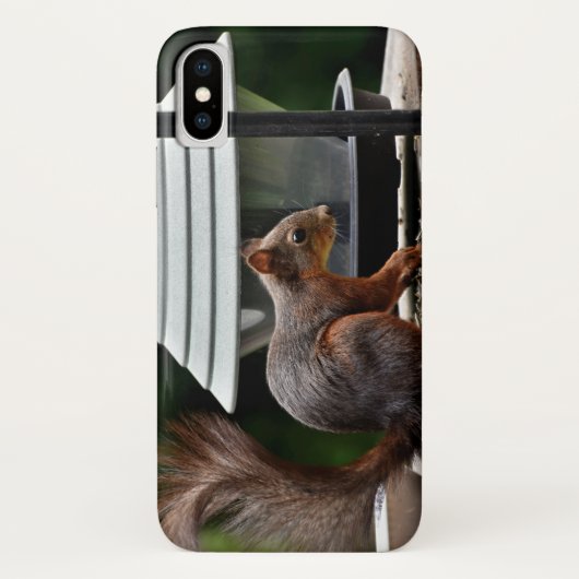 Eekhoorn in de Vogelfeeder Case-Mate iPhone Case (Achterkant)