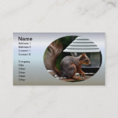 Eekhoorn in de Vogelfeeder Visitekaartje (Voorkant)