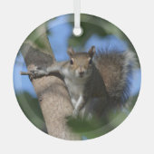 Eekhoorn in een boom Fotografische Wildlife Glas Ornament (Voorkant)