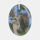 Eekhoorn in een boom Fotografische Wildlife Glas Ornament (Voorkant links)