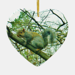 Eekhoorn in een lichtblauwe lijst keramisch ornament