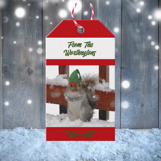 Eekhoorn in groene hoed besneeuwd rood en wit cadeaulabel