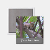Eekhoorn in Tree Fridge Magnet Magneet (Voorkant / Achterkant)