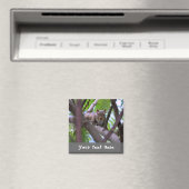 Eekhoorn in Tree Fridge Magnet Magneet (Insitu (Vaatwasser))