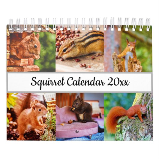 eekhoorn kalender (Hoes)