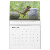 Eekhoorn kalender - Beste Lessons (Mar 2026)