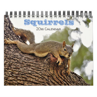 Eekhoorn Kalender voor dierenvrienden of cadeau vo