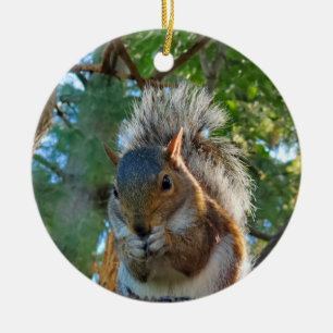 Eekhoorn Keramisch Ornament