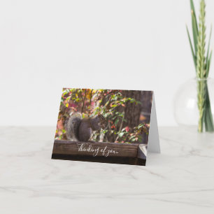 Eekhoorn Khow Tijd denken aan je Kaart