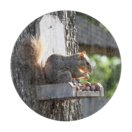 Eekhoorn Knipplank Snijplank (Voorkant)