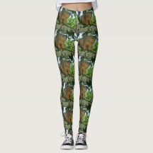 Eekhoorn leggings