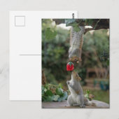 Eekhoorn Liefde Briefkaart (Voorkant / Achterkant)