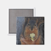 eekhoorn magneet (Voorkant / Achterkant)