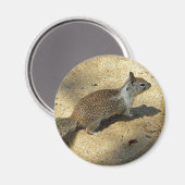 eekhoorn magneet (Voorkant / Achterkant)