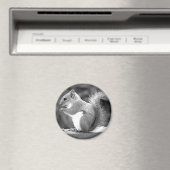 eekhoorn magneet (Insitu (Vaatwasser))