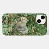 Eekhoorn met Acorn Case-Mate iPhone Case (Achterkant (horizontaal))