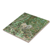 Eekhoorn met Acorn Tile Tegeltje (Zijkant)
