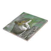 Eekhoorn met champignonTegel Tegeltje (Zijkant)