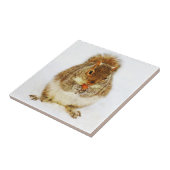 Eekhoorn met een eikel tegeltje (Zijkant)