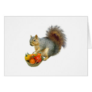 Eekhoorn met mandje tomaten