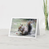 Eekhoorn met Nut Kaart (Voorkant)