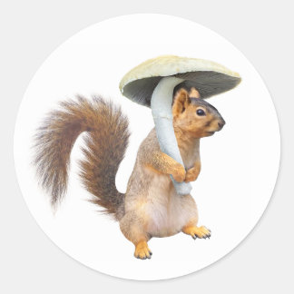 Eekhoorn met paddenstoel Sticker